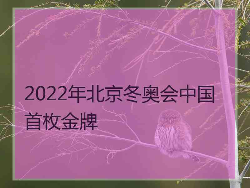 2022年北京冬奥会中国首枚金牌