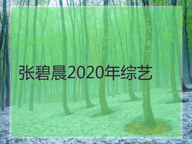 张碧晨2020年综艺