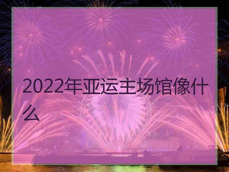 2022年亚运主场馆像什么