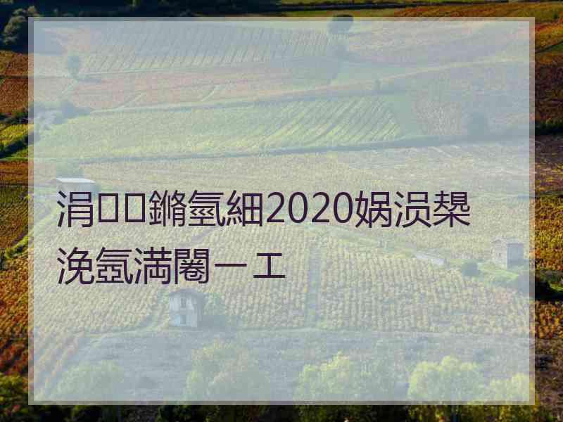 涓鏅氫細2020娲涢槼浼氬満闂ㄧエ