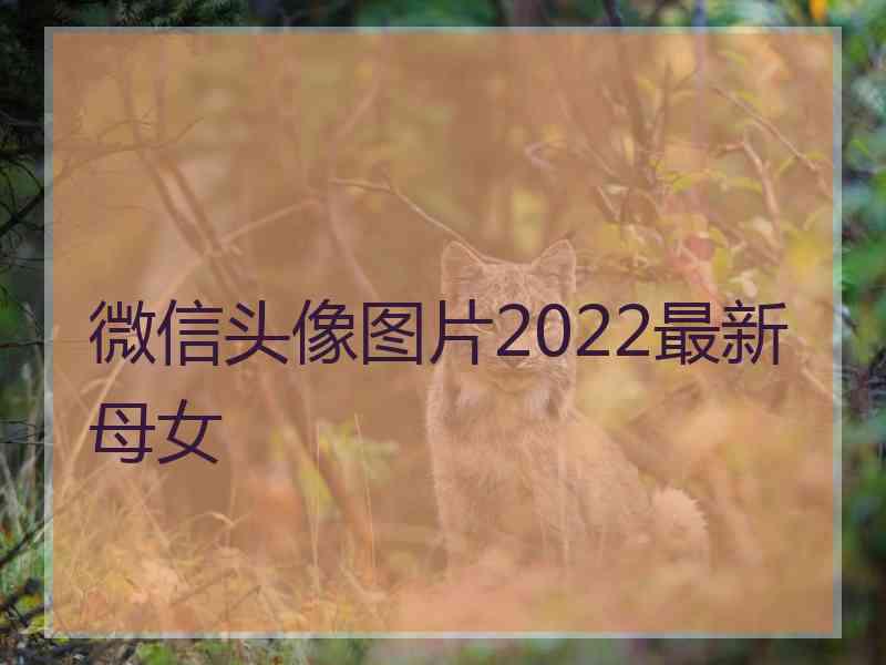 微信头像图片2022最新母女