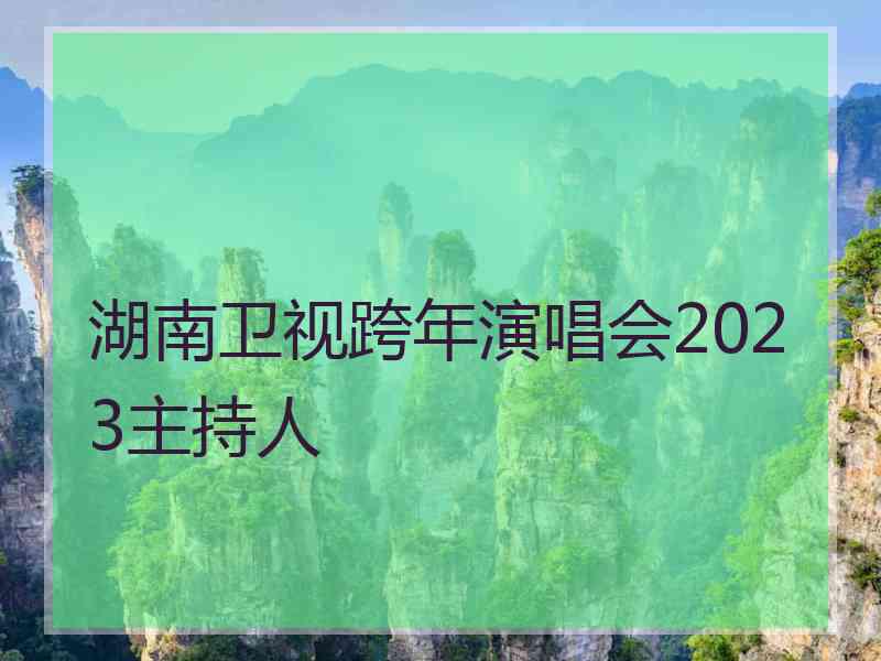 湖南卫视跨年演唱会2023主持人