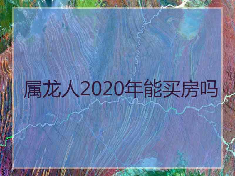 属龙人2020年能买房吗