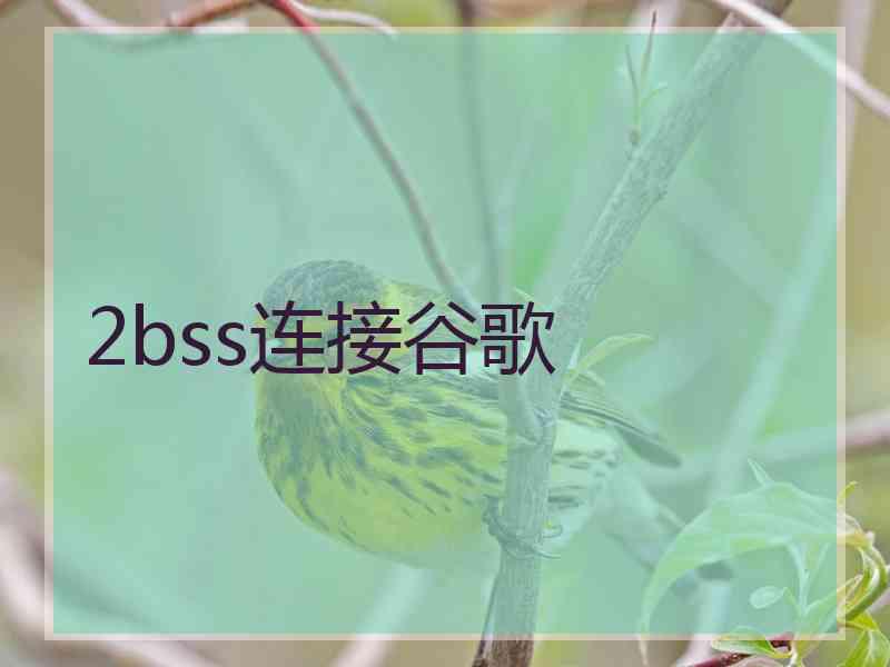 2bss连接谷歌