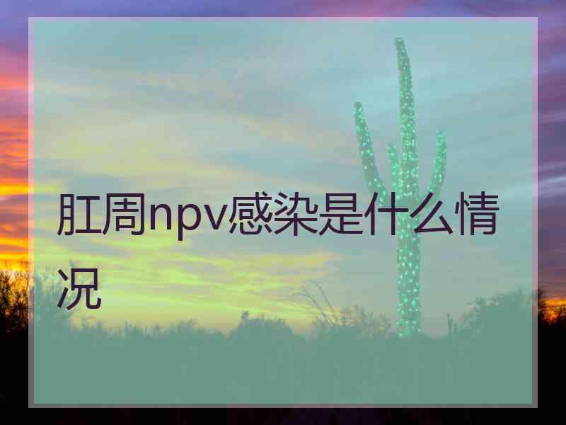 肛周npv感染是什么情况