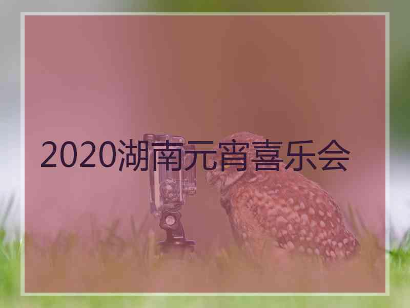 2020湖南元宵喜乐会