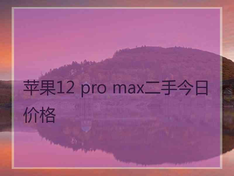 苹果12 pro max二手今日价格