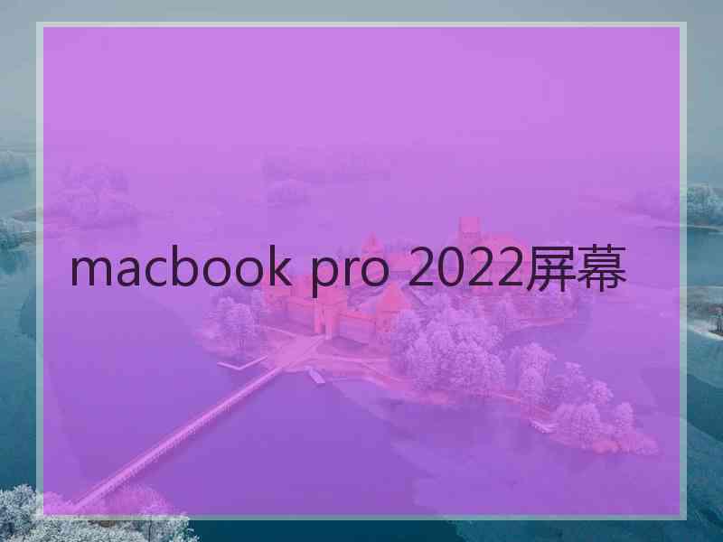 macbook pro 2022屏幕