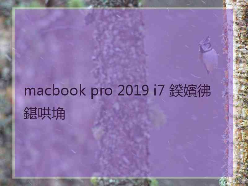 macbook pro 2019 i7 鍨嬪彿鍖哄埆