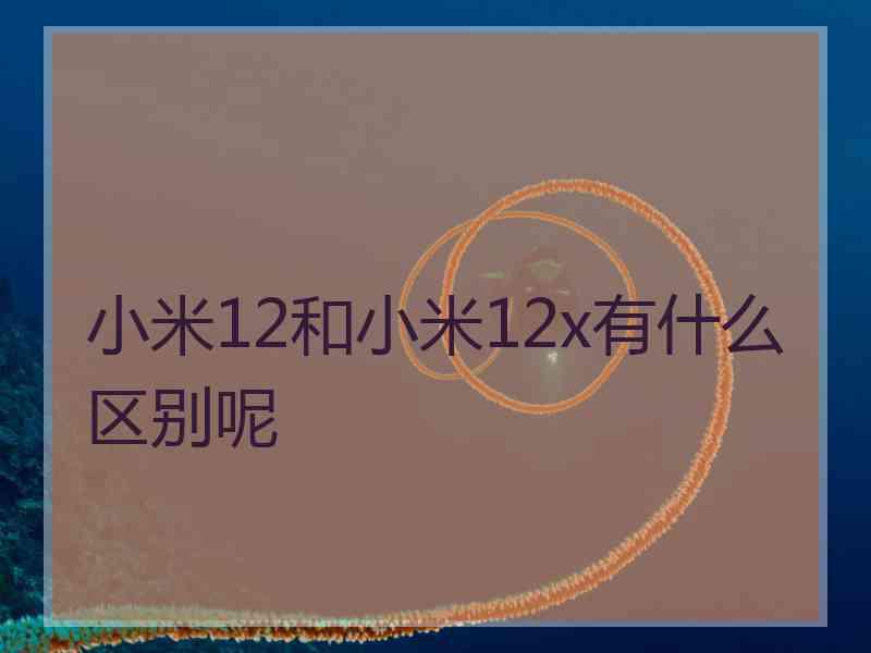 小米12和小米12x有什么区别呢