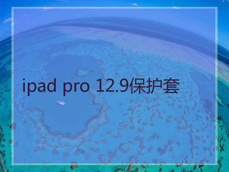 ipad pro 12.9保护套