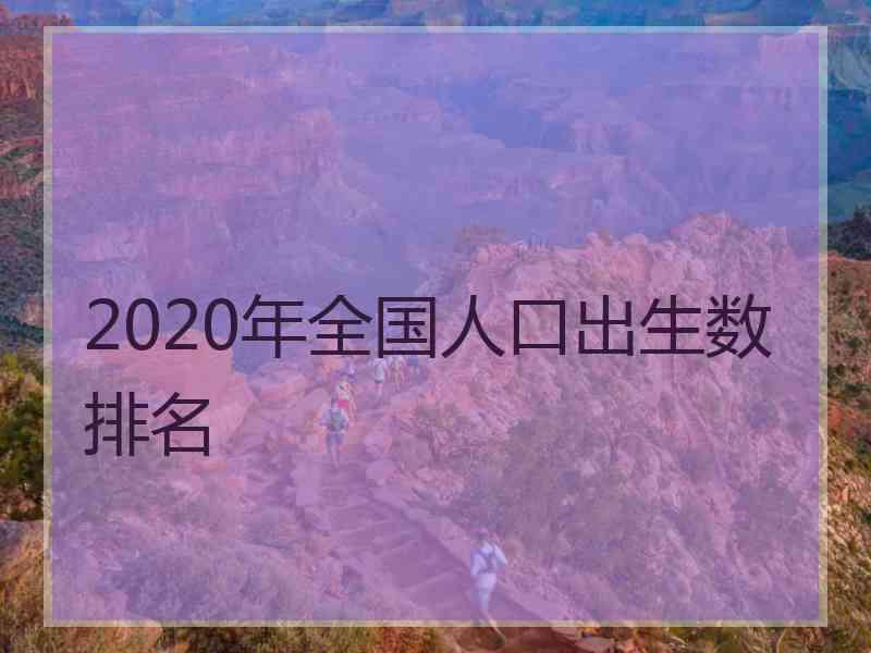 2020年全国人口出生数排名