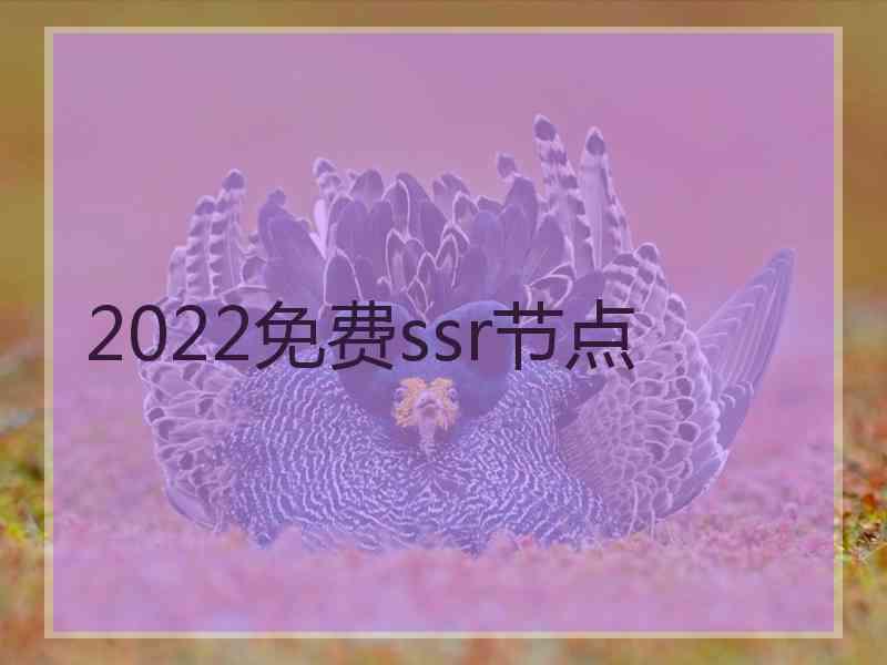 2022免费ssr节点