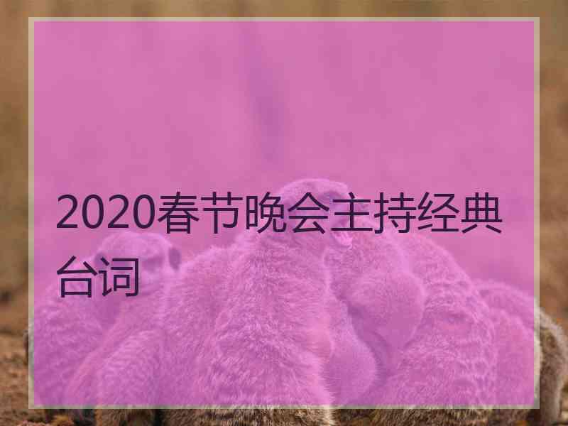 2020春节晚会主持经典台词