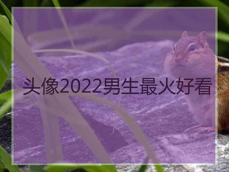 头像2022男生最火好看