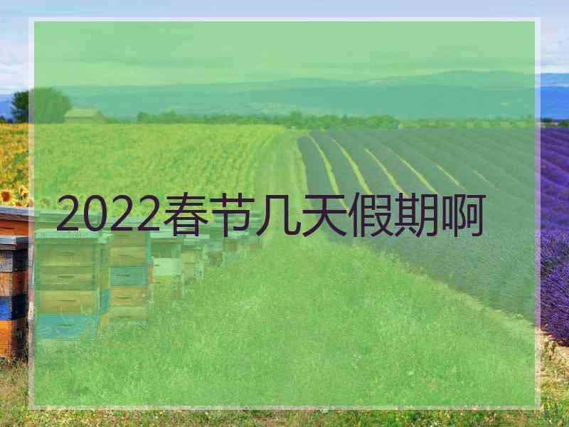 2022春节几天假期啊