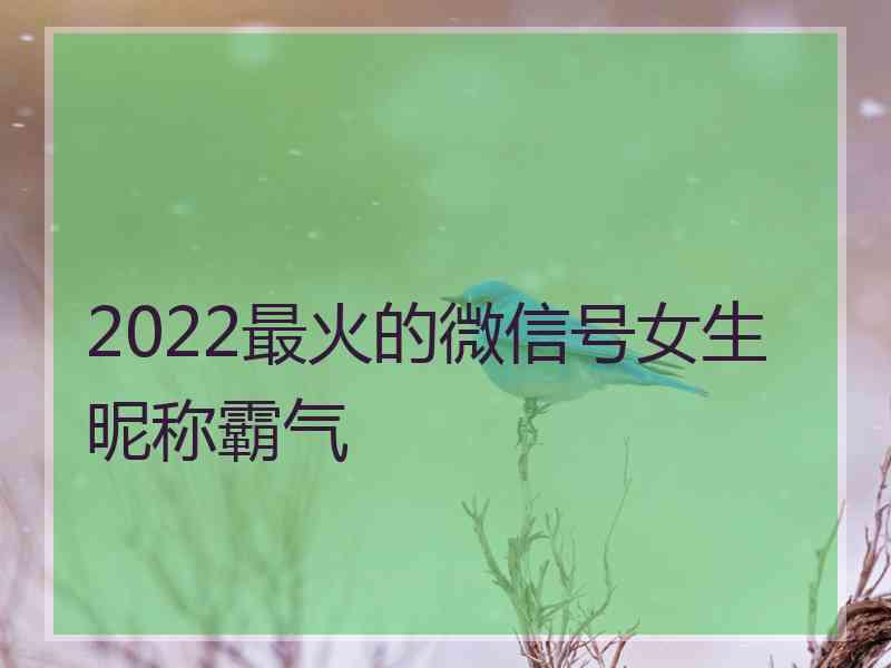 2022最火的微信号女生昵称霸气