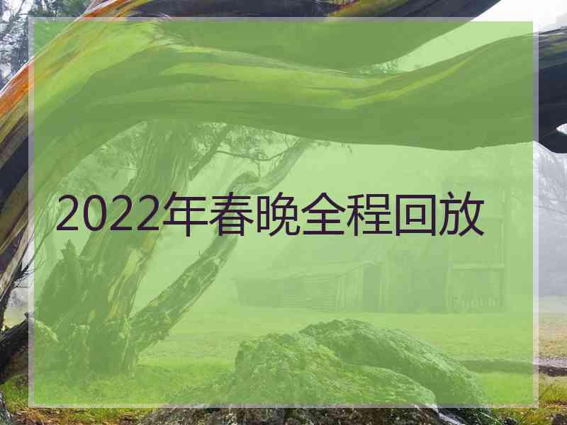 2022年春晚全程回放