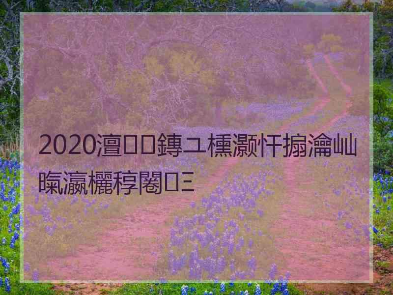 2020澶鏄ユ櫄灏忓搧瀹屾暣瀛欐稕闂Ξ