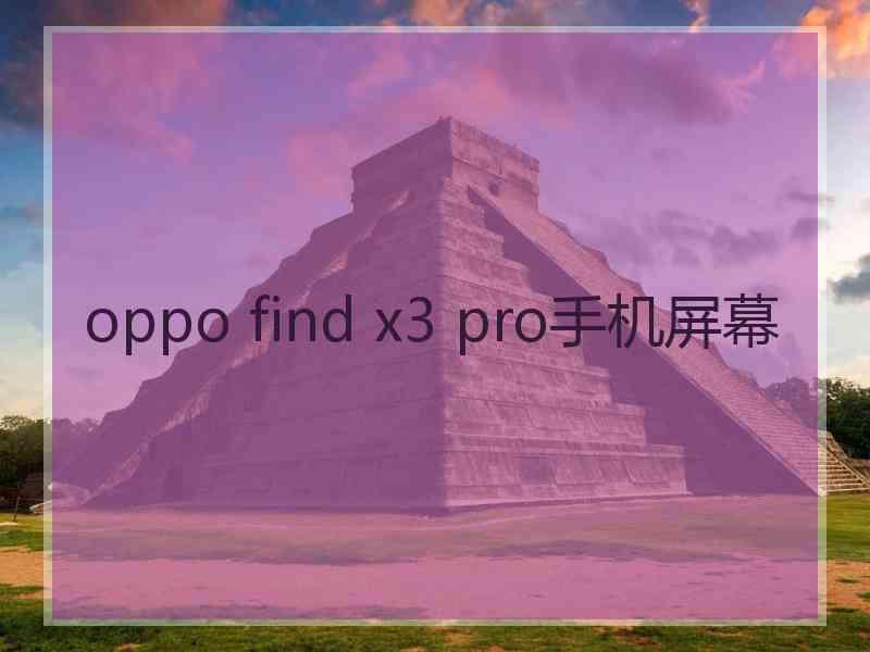 oppo find x3 pro手机屏幕