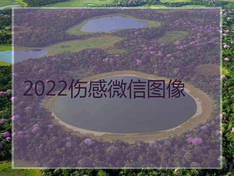 2022伤感微信图像