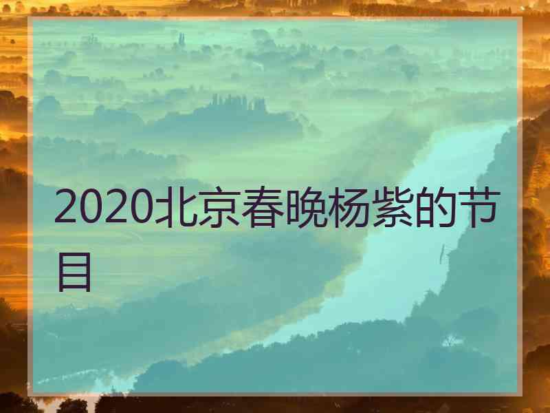 2020北京春晚杨紫的节目