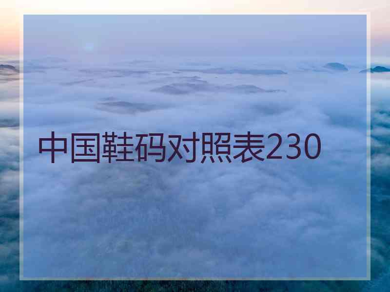 中国鞋码对照表230