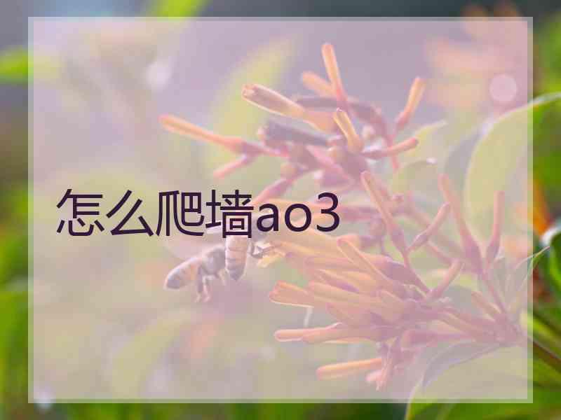 怎么爬墙ao3