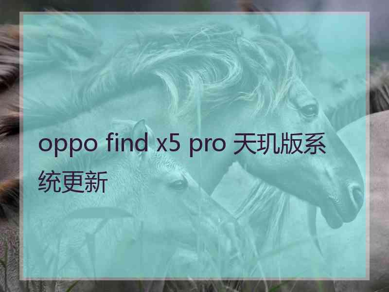 oppo find x5 pro 天玑版系统更新