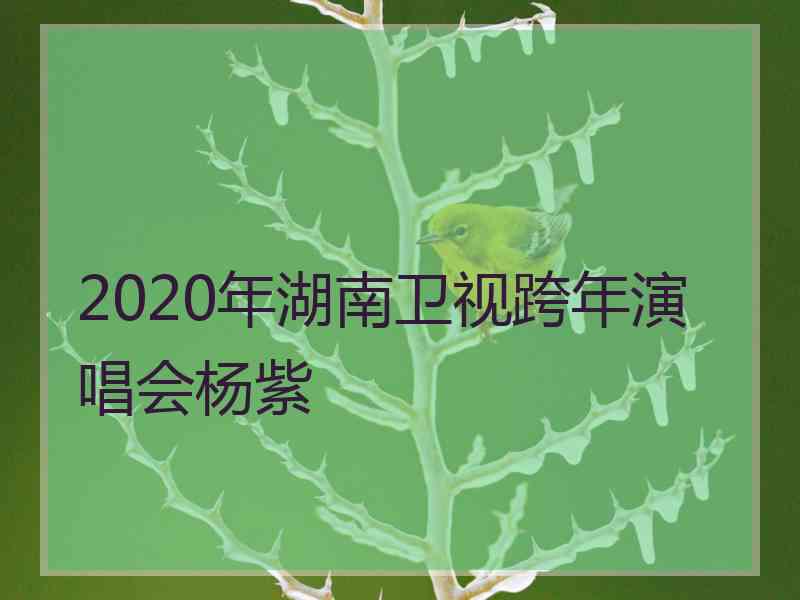 2020年湖南卫视跨年演唱会杨紫