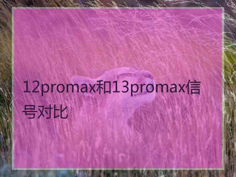 12promax和13promax信号对比