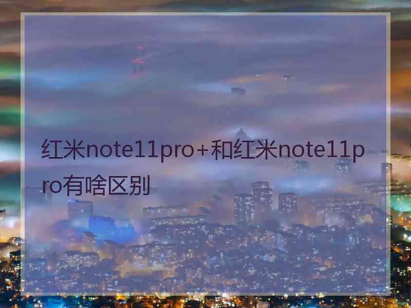 红米note11pro+和红米note11pro有啥区别