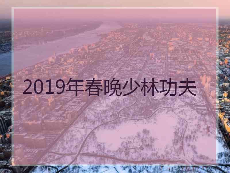 2019年春晚少林功夫