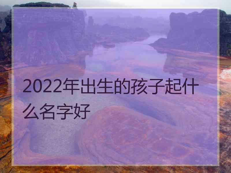 2022年出生的孩子起什么名字好