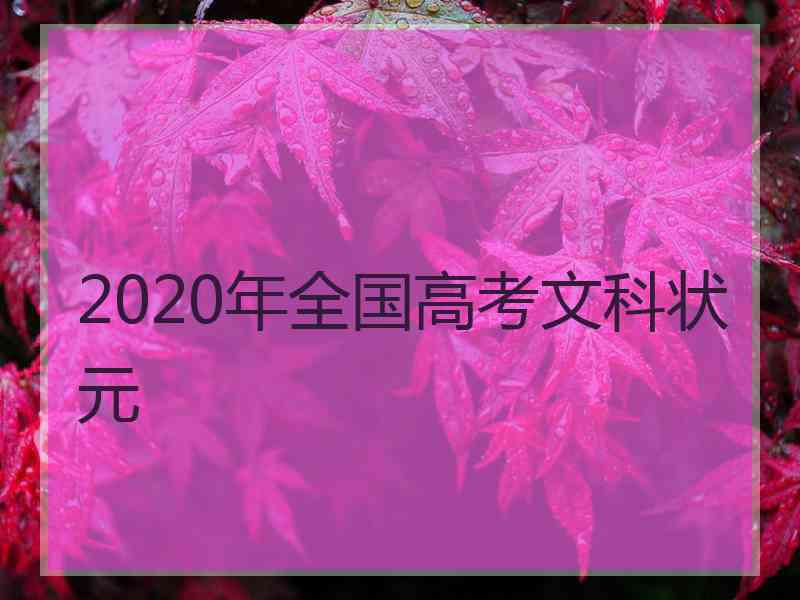 2020年全国高考文科状元