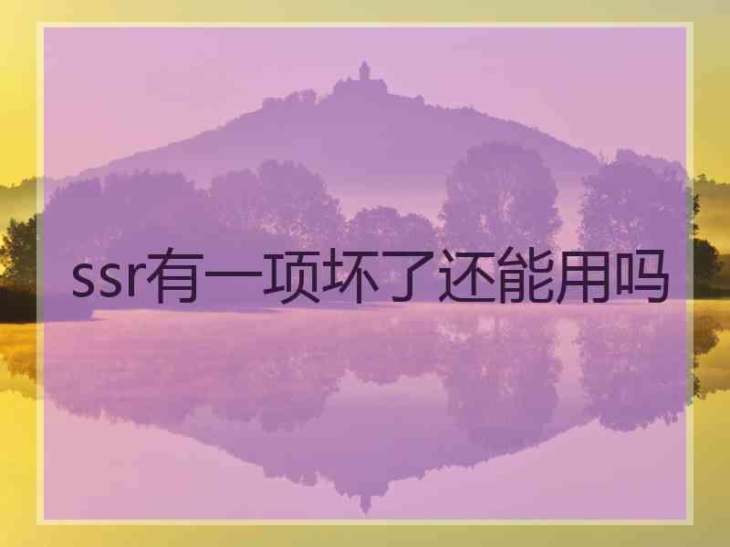 ssr有一项坏了还能用吗