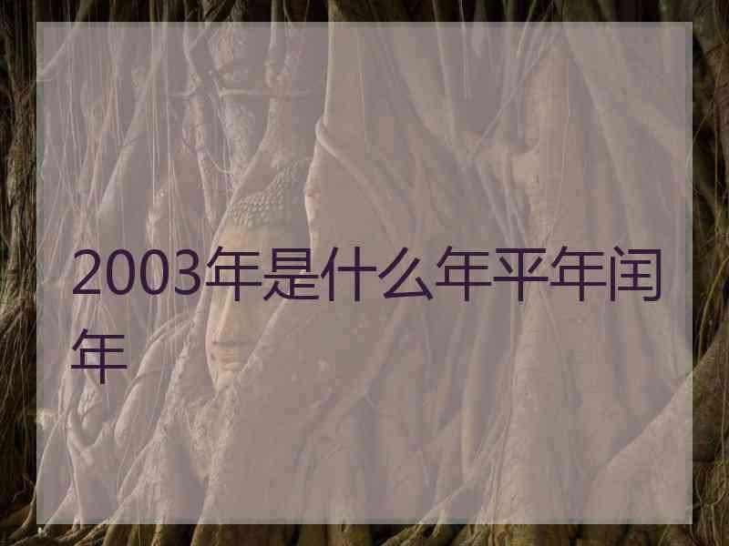 2003年是什么年平年闰年