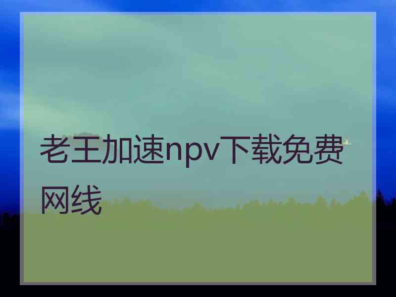 老王加速npv下载免费网线