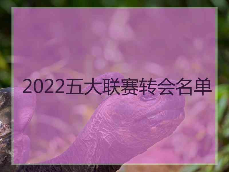 2022五大联赛转会名单