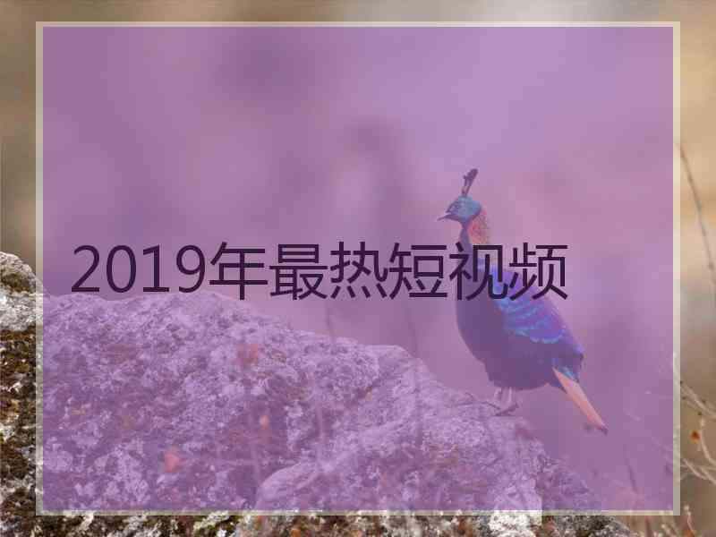 2019年最热短视频