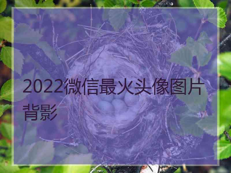 2022微信最火头像图片背影