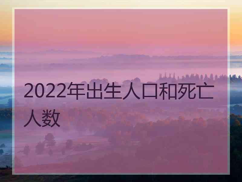 2022年出生人口和死亡人数