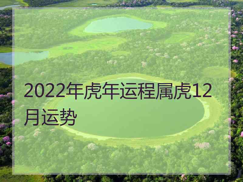 2022年虎年运程属虎12月运势