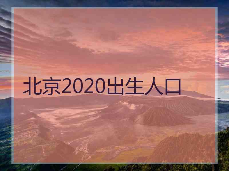 北京2020出生人口