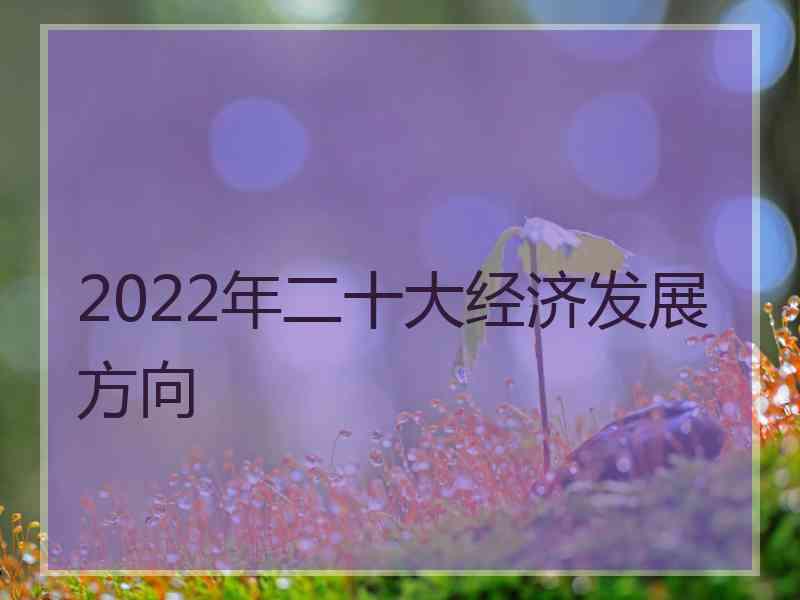 2022年二十大经济发展方向