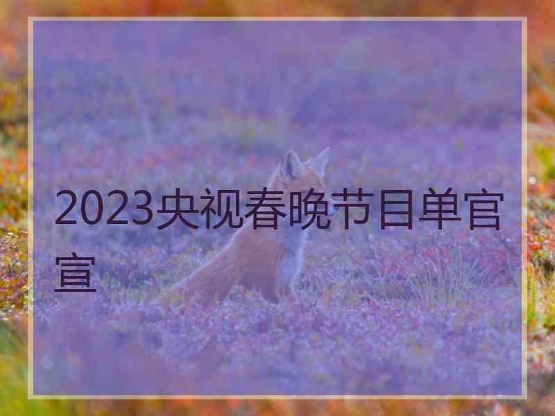 2023央视春晚节目单官宣