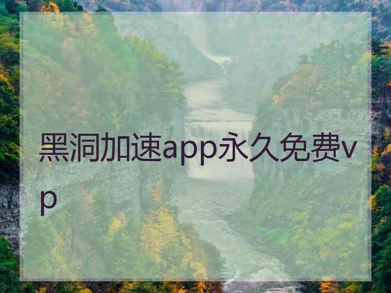 黑洞加速app永久免费vp