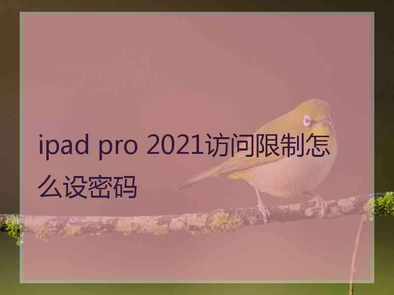 ipad pro 2021访问限制怎么设密码