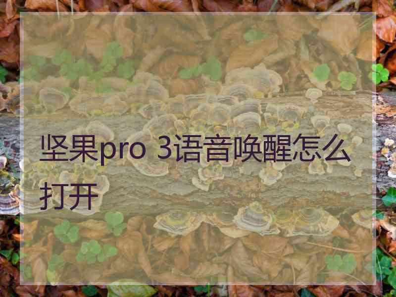 坚果pro 3语音唤醒怎么打开