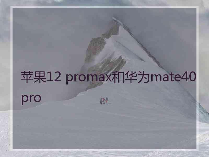 苹果12 promax和华为mate40pro